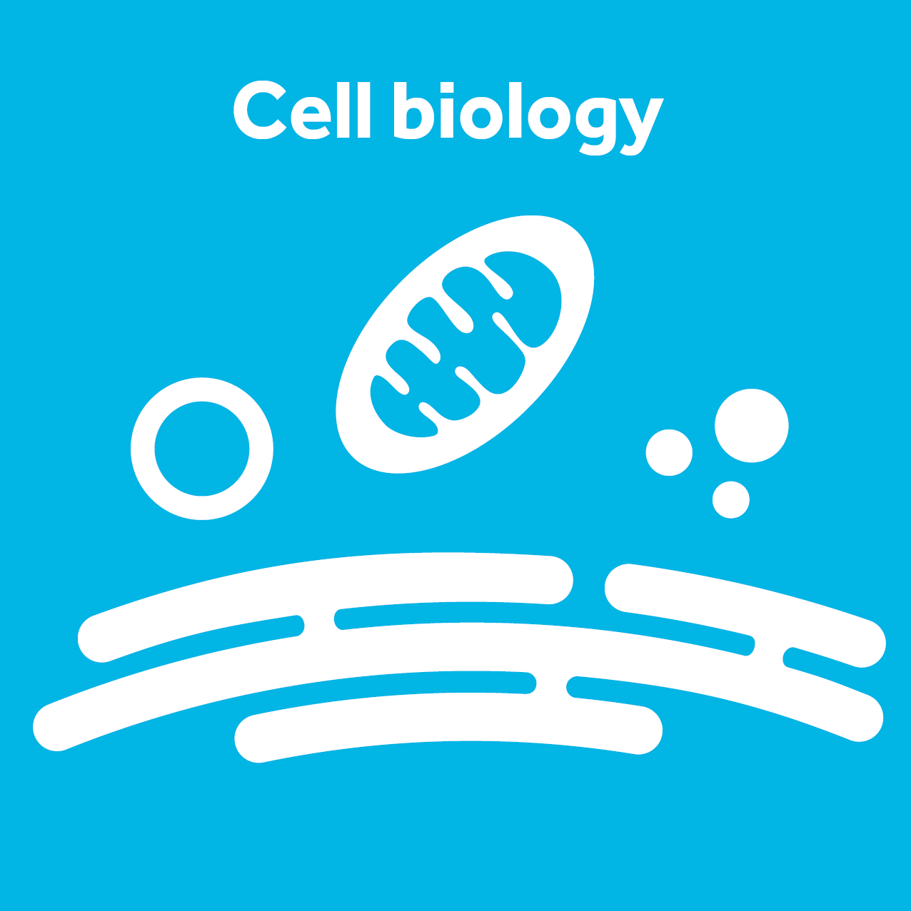 Cell Biology category