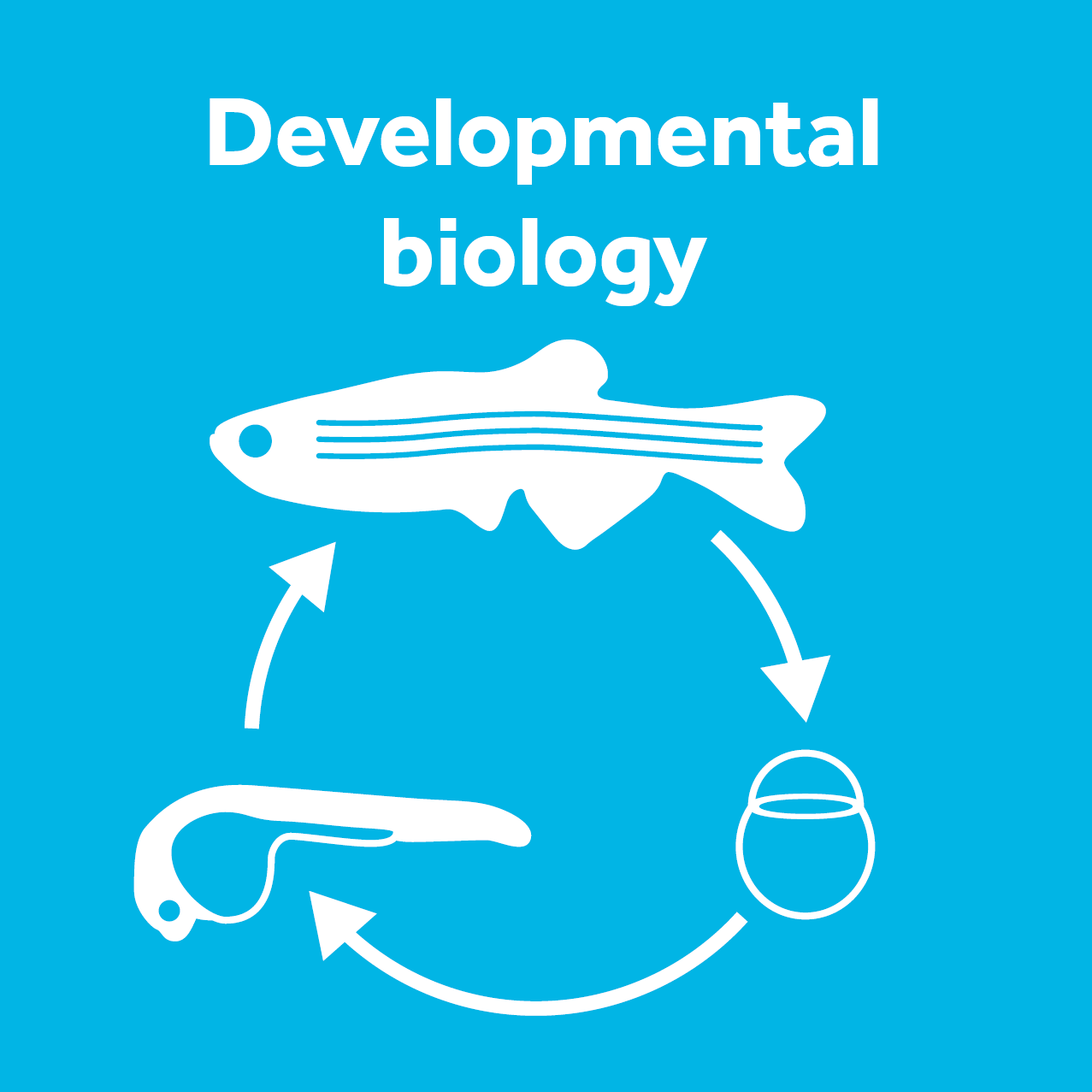 Developmental Biology category