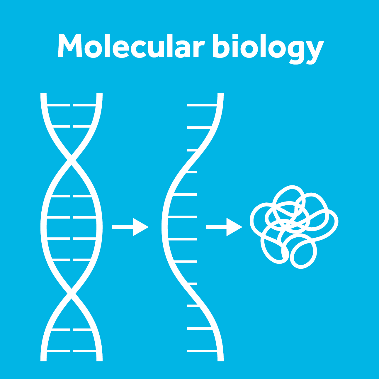 Molecular Biology category