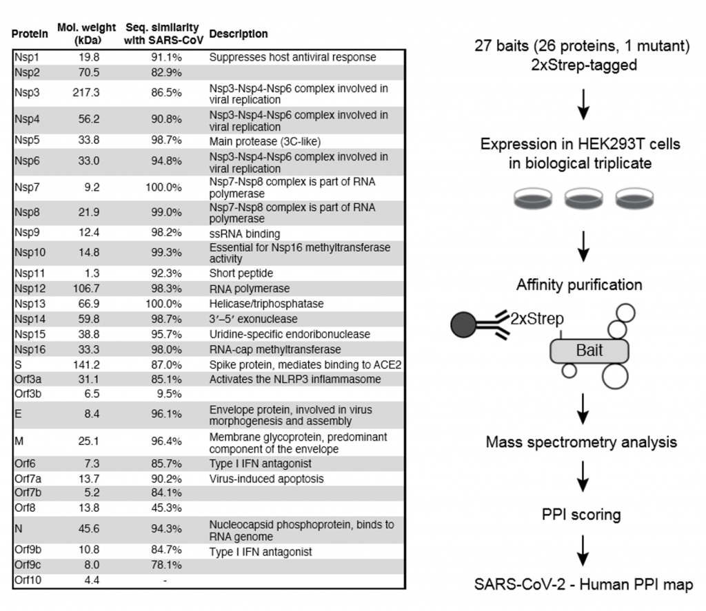 A SARS-CoV-2-Human Protein-Protein Interaction Map Reveals Drug Targets ...