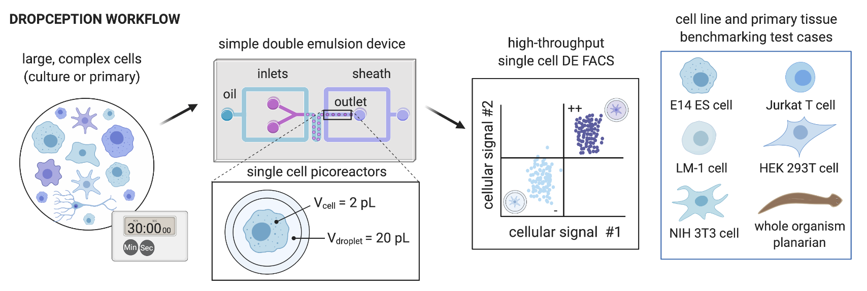 Single cell. High-throughput Phenotyping. Single Cell lifeformsabnautica. Cell Print. Emulsion pptx.