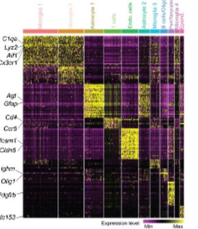 Integrative single cell and spatial transcriptomic analysis reveal ...