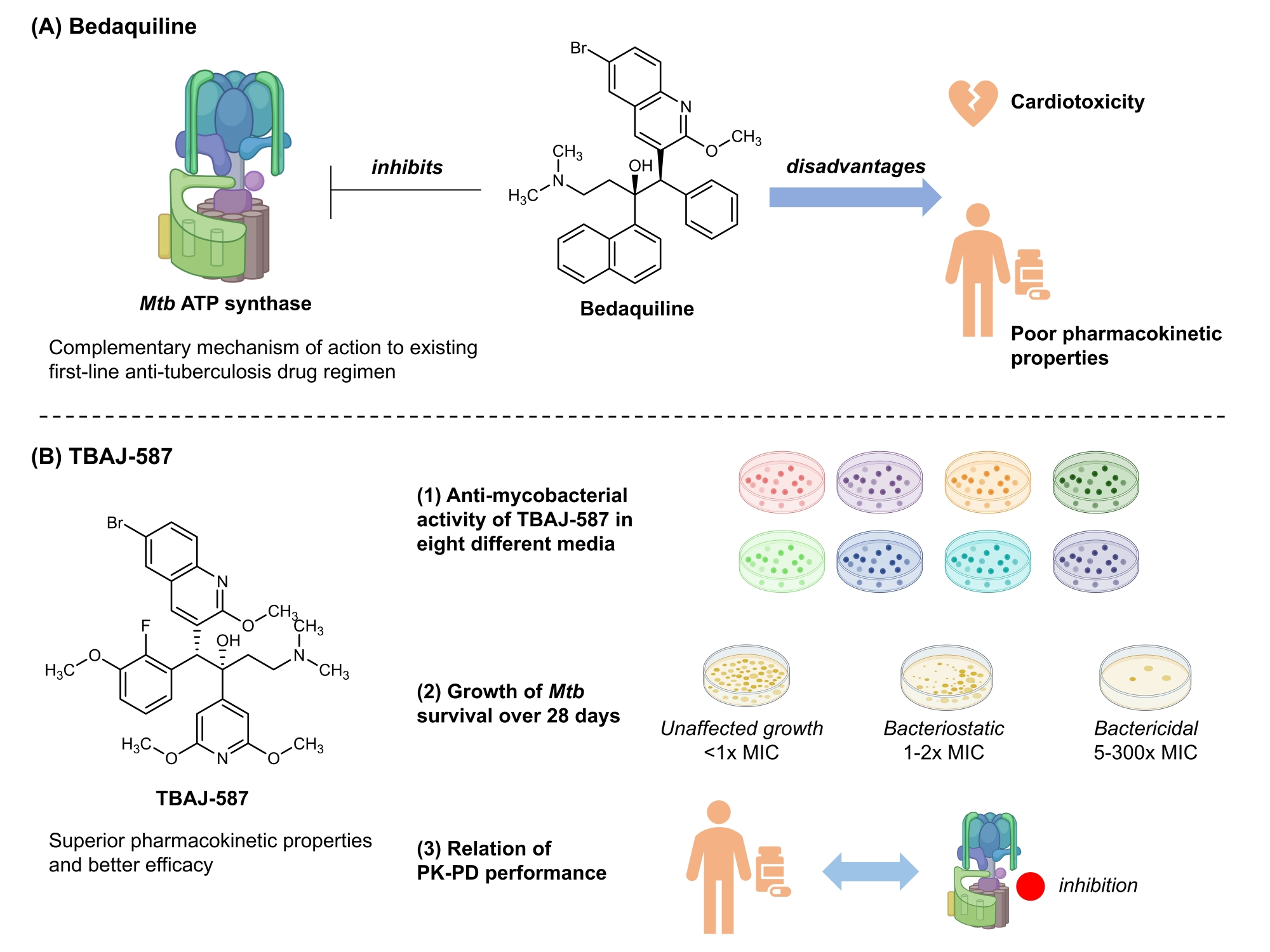 A diagram divided into two parts. First part shows that bedaquiline inhibits Mtb ATP synthase, but also highlights the disadvantages of bedaquiline i.e. cardiotoxicity and poor pharmacokinetic properties. The second part illustrates the authors' efforts on TBAJ-587. First, they have characterised anti-mycobacterial activity of TBAJ-587 in eight different media. Second, they have monitored the growth of Mtb (and its survival) over 28 days. Third, they have related these observations to pharmacokinetic performance.